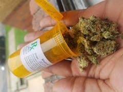 User uploaded image of Lemon Marmalade