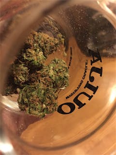 User uploaded image of Lemon Marmalade