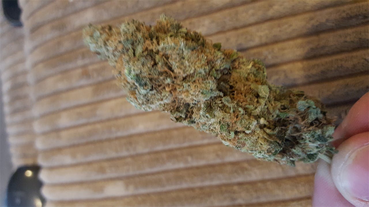 Lemon Marmalade Weed Strain Information Leafly