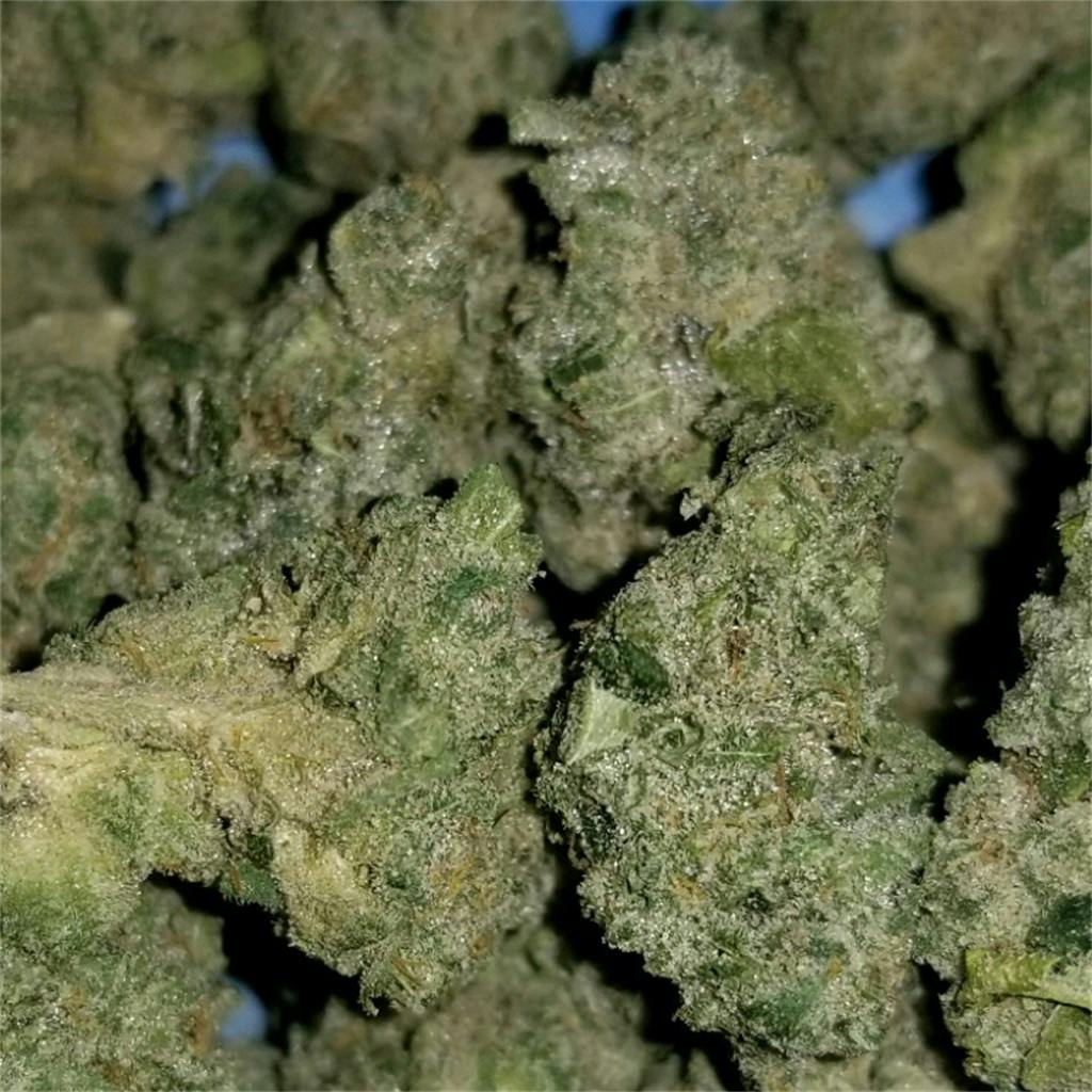 Lemon Meringue aka Lemon Meringue Pie Weed Strain Information Leafly