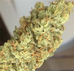 User uploaded image of Lemon OG Haze