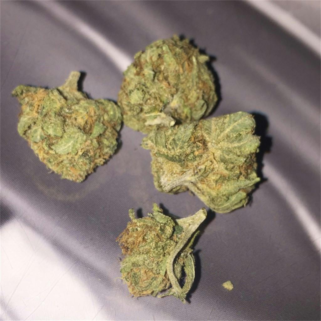 Lemon OG Haze Weed Strain Information Leafly