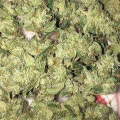 User uploaded image of Lemon OG