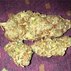User uploaded image of Lemon OG