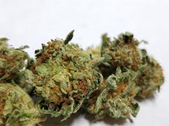 User uploaded image of Lemon OG