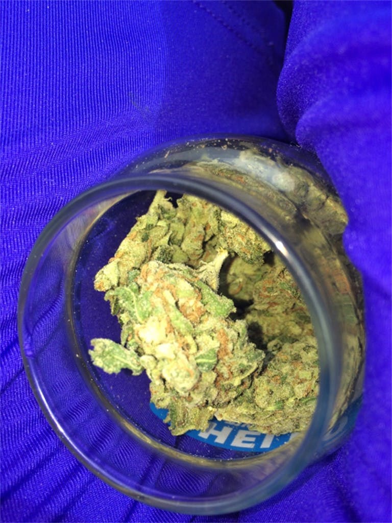 Lemon Pie Weed Strain Information Leafly