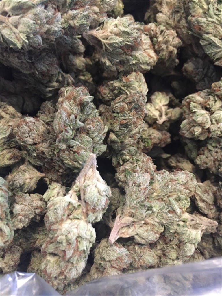 Lemon Pie Weed Strain Information Leafly