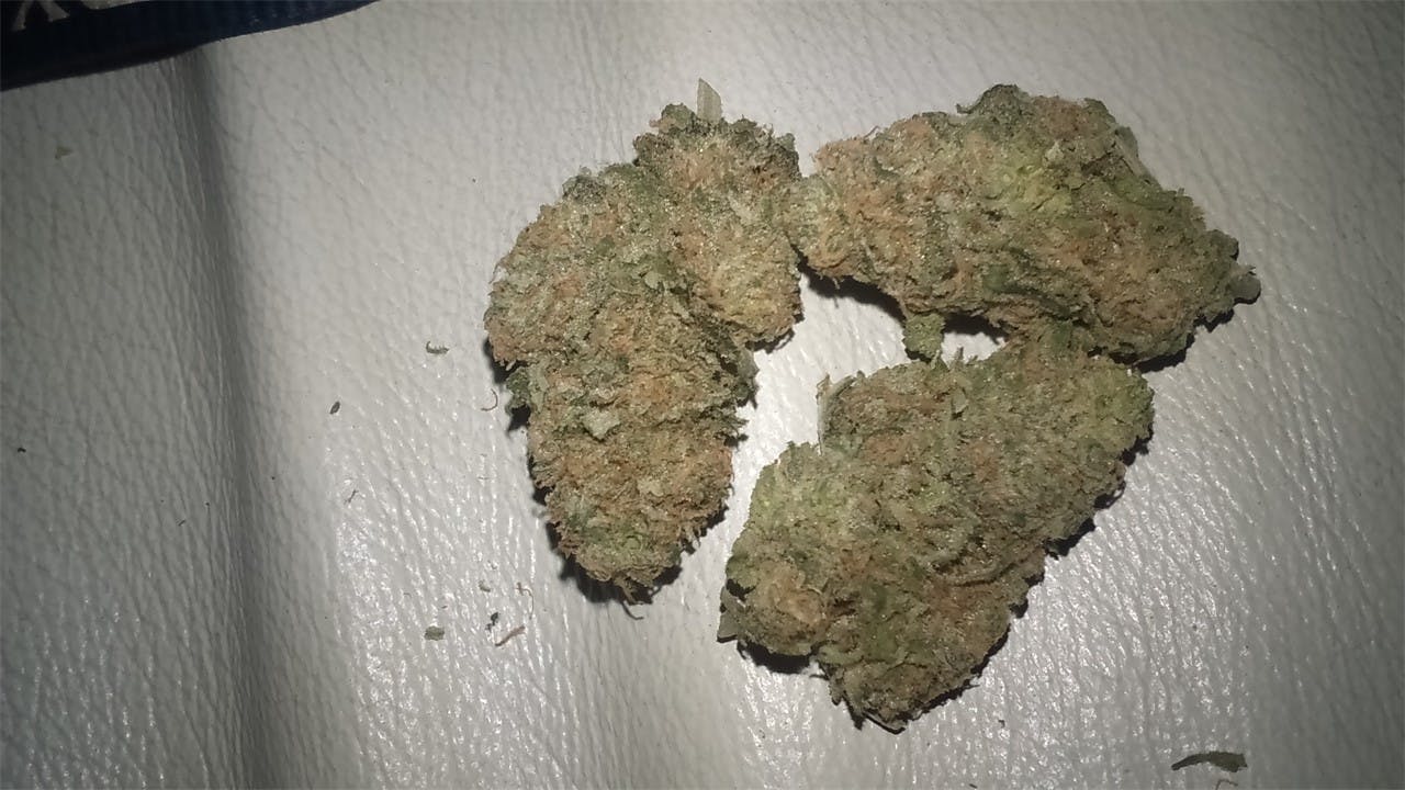 Lemon Pie Weed Strain Information Leafly