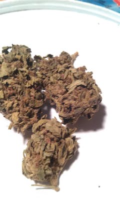 User uploaded image of Lemon Sativa