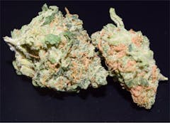 User uploaded image of Lemon Skunk