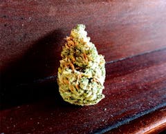 User uploaded image of Lemon Skunk