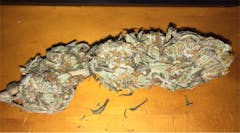 User uploaded image of Lemon Skunk