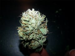 User uploaded image of Lemon Thai