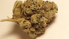 User uploaded image of Lemon Walker OG