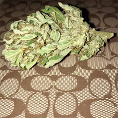 User uploaded image of Lemon Trainwreck