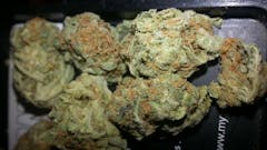 User uploaded image of Lemon Trainwreck