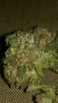 User uploaded image of Lemon Trainwreck