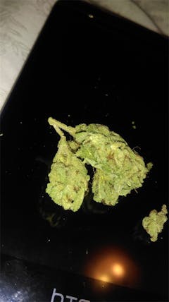 User uploaded image of Lemonberry