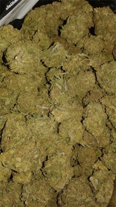 User uploaded image of Lemonder