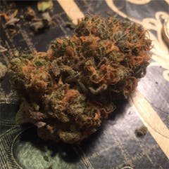 User uploaded image of Lemonhead OG