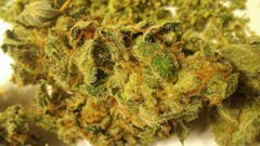 User uploaded image of Lemonhead OG