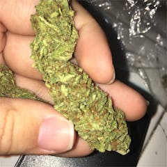 User uploaded image of Liberty Haze