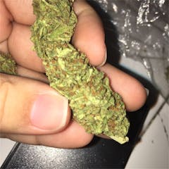 User uploaded image of Liberty Haze