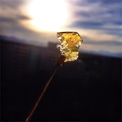 User uploaded image of Lifesaver