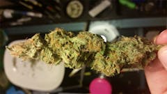 User uploaded image of Lifesaver