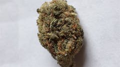 User uploaded image of Lifesaver