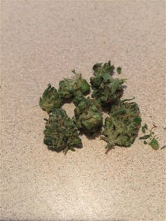 User uploaded image of Lifesaver