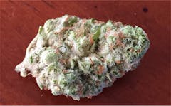 User uploaded image of Lifesaver