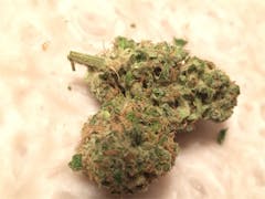 User uploaded image of Light of Jah