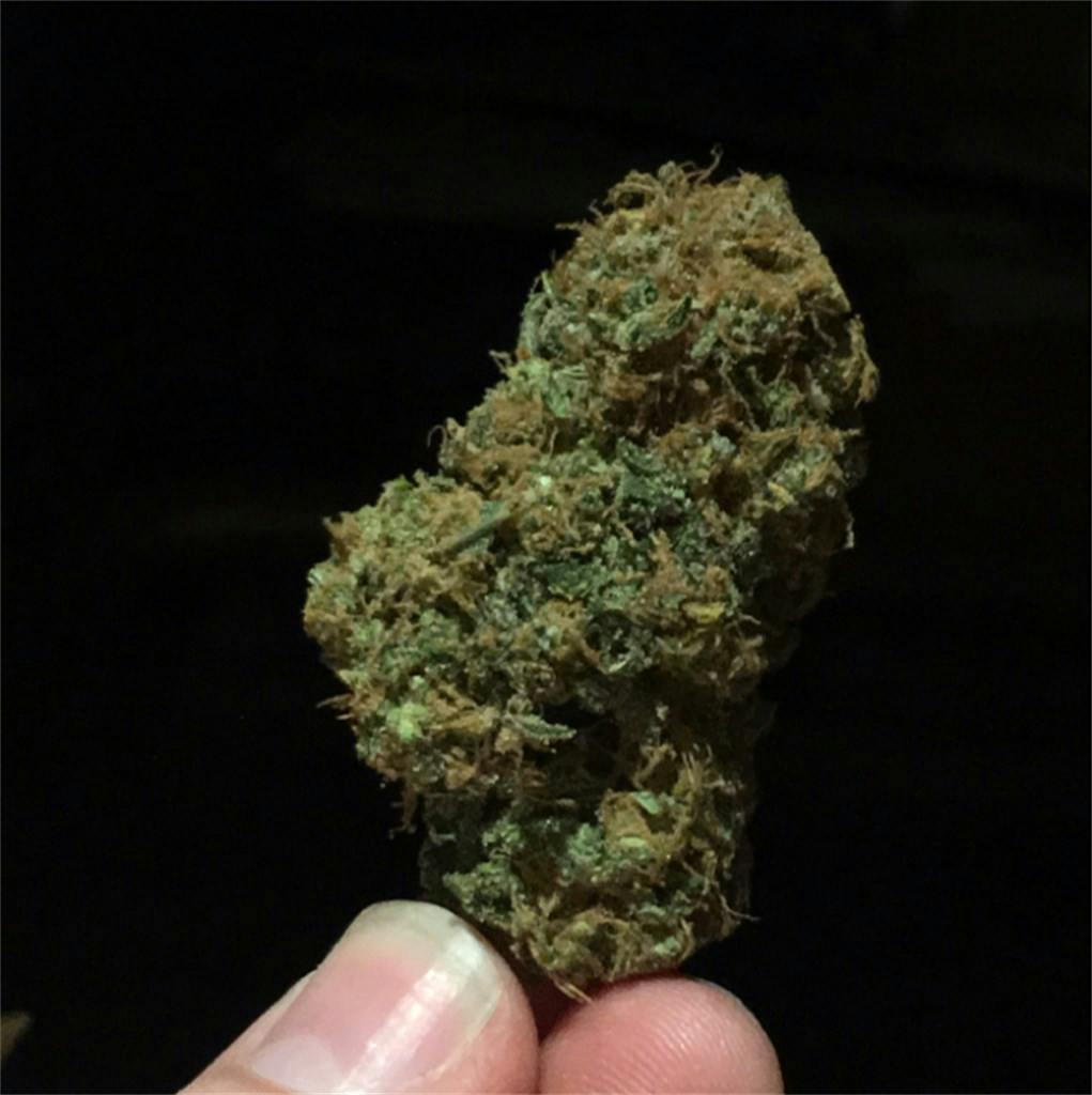 Light of Jah Weed Strain Information Leafly