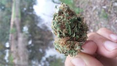 User uploaded image of Light of Jah