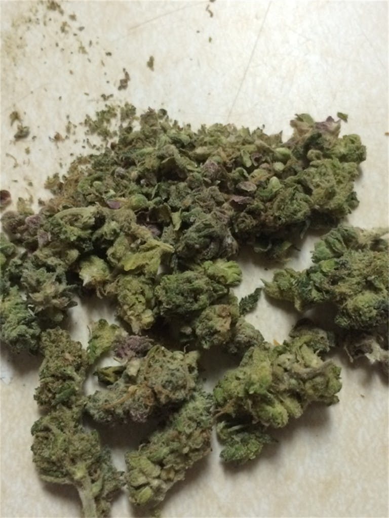 Light of Jah Weed Strain Information Leafly