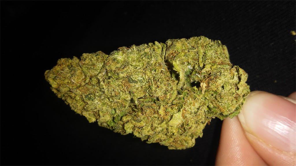 Lime Green Skunk Weed Strain Information Leafly