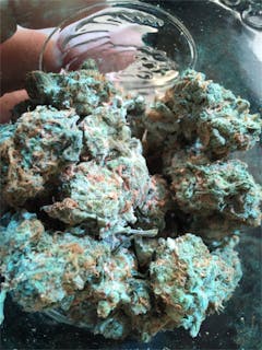 User uploaded image of Lime Green Skunk