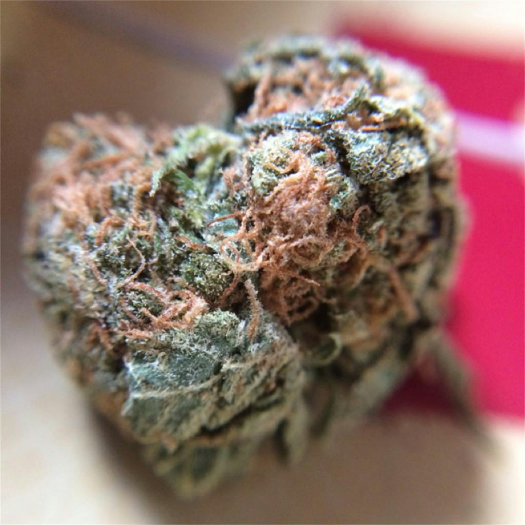 Lime Green Skunk Weed Strain Information | Leafly