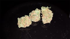 User uploaded image of Lime Green Skunk