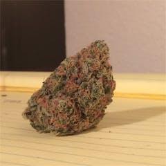 User uploaded image of Lime Green Skunk