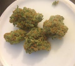 User uploaded image of Lime Green Skunk