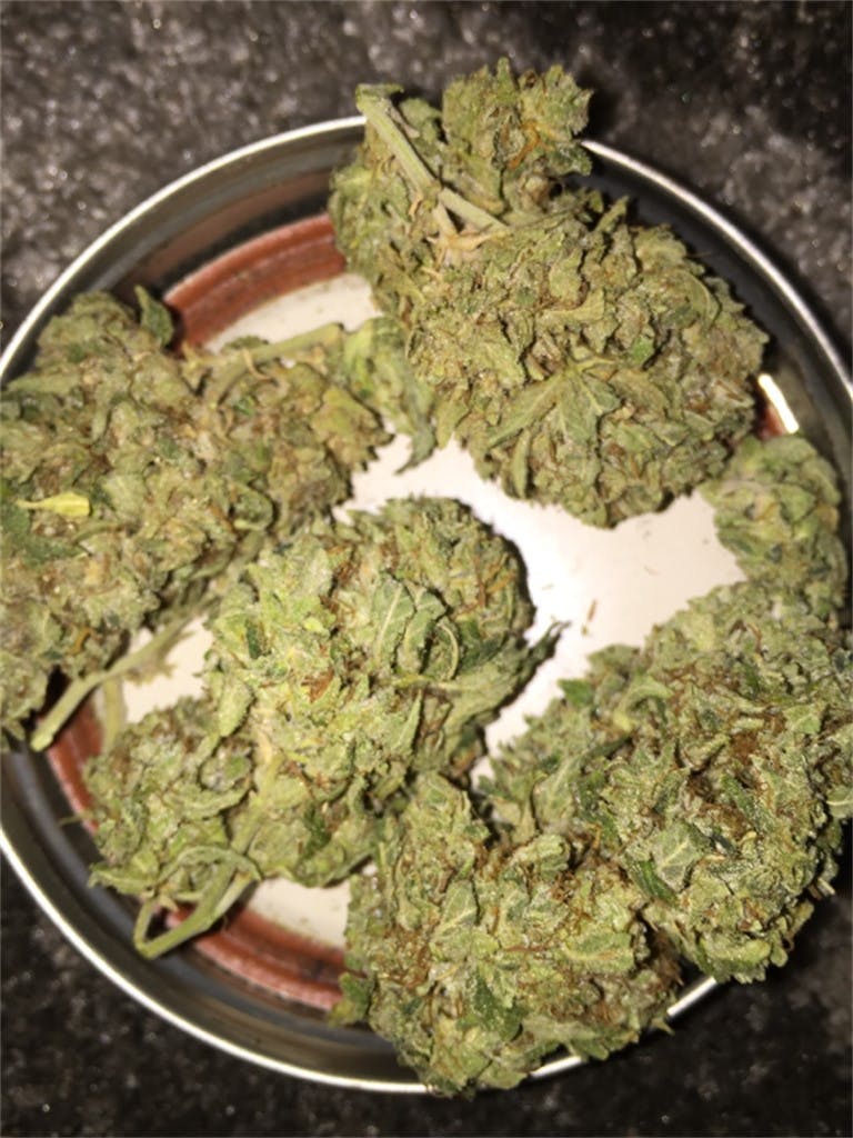 Lime Haze Weed Strain Information Leafly