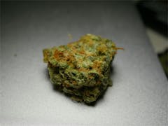 User uploaded image of Lime Haze