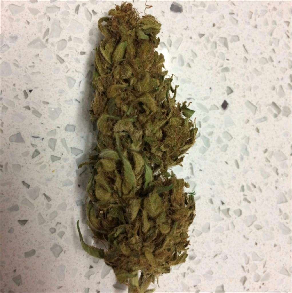 Lime Haze Weed Strain Information | Leafly