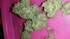 User uploaded image of Lime Haze