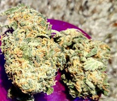 User uploaded image of Lime Skunk