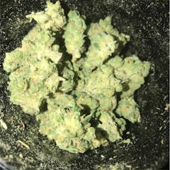User uploaded image of Lime Skunk