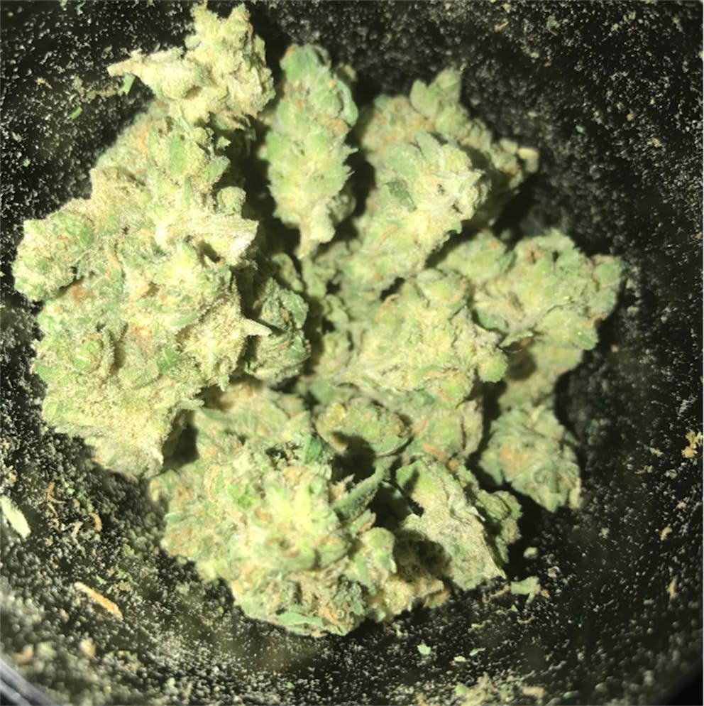 Photos of Lime Skunk Weed Strain Buds Leafly