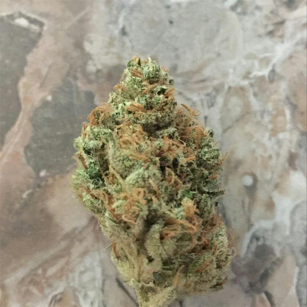 Lime Sorbet Marijuana Strain Information Leafly